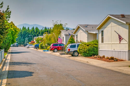 Meadow View Estates Community Homes and Streets